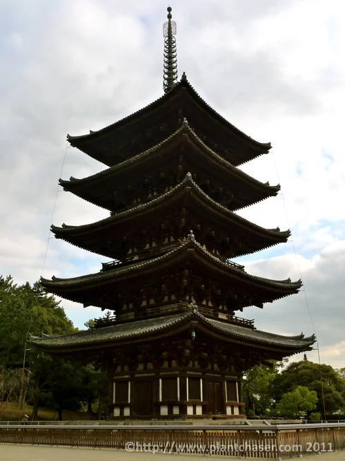 japan-pagoda-nara.jpg