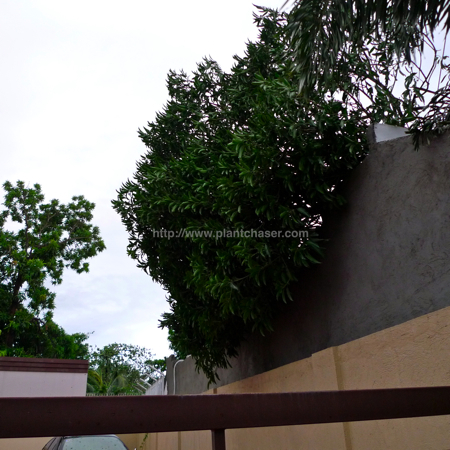 after-typhoon-basyang-7.jpg