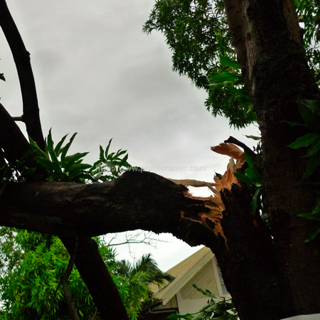 after-typhoon-basyang-6.jpg