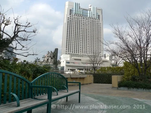 namba-parks-garden-1.jpg