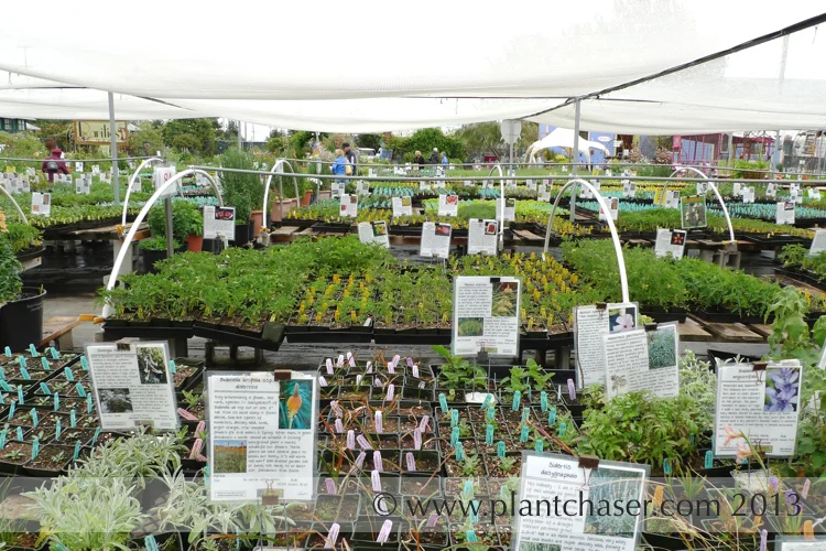 Just a small part of the Annie's. Look at the variety!