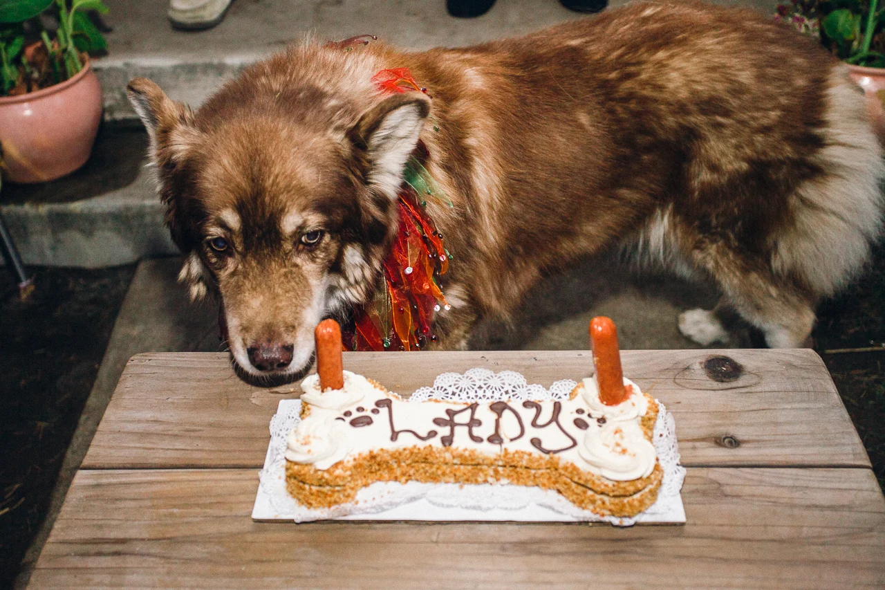 Ladys10thBirthday-0219-web.jpg