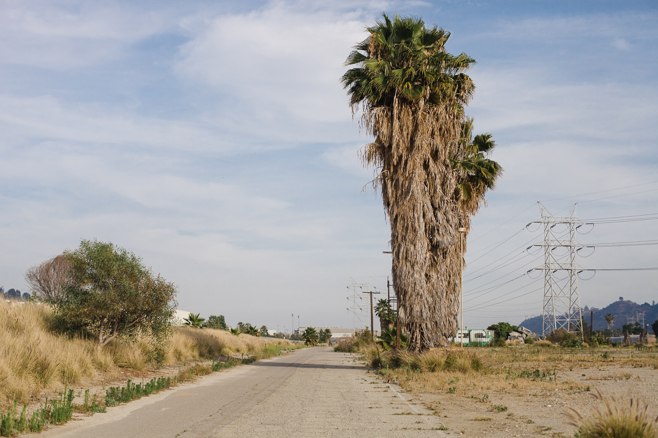 Clockshop: evereachmore (taisha paggett), May 2015