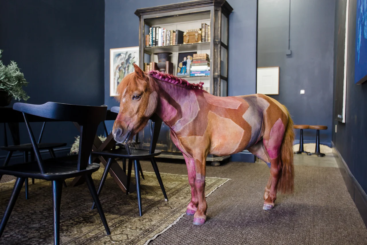TIFSIGFRIDS-JoeSolaPaintedHorse-0083-web.jpg