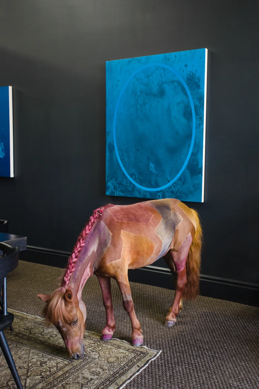 With palatial images in mind, the artist will transform the gallery to resemble the dining room of a prosperous collector of contemporary art. Surrounded by walls adorned with new works by Matthew Chambers. Sayre Gomez, and Rudy K. Slobeck, Riba, the painted horse, will roam freely as if at home.