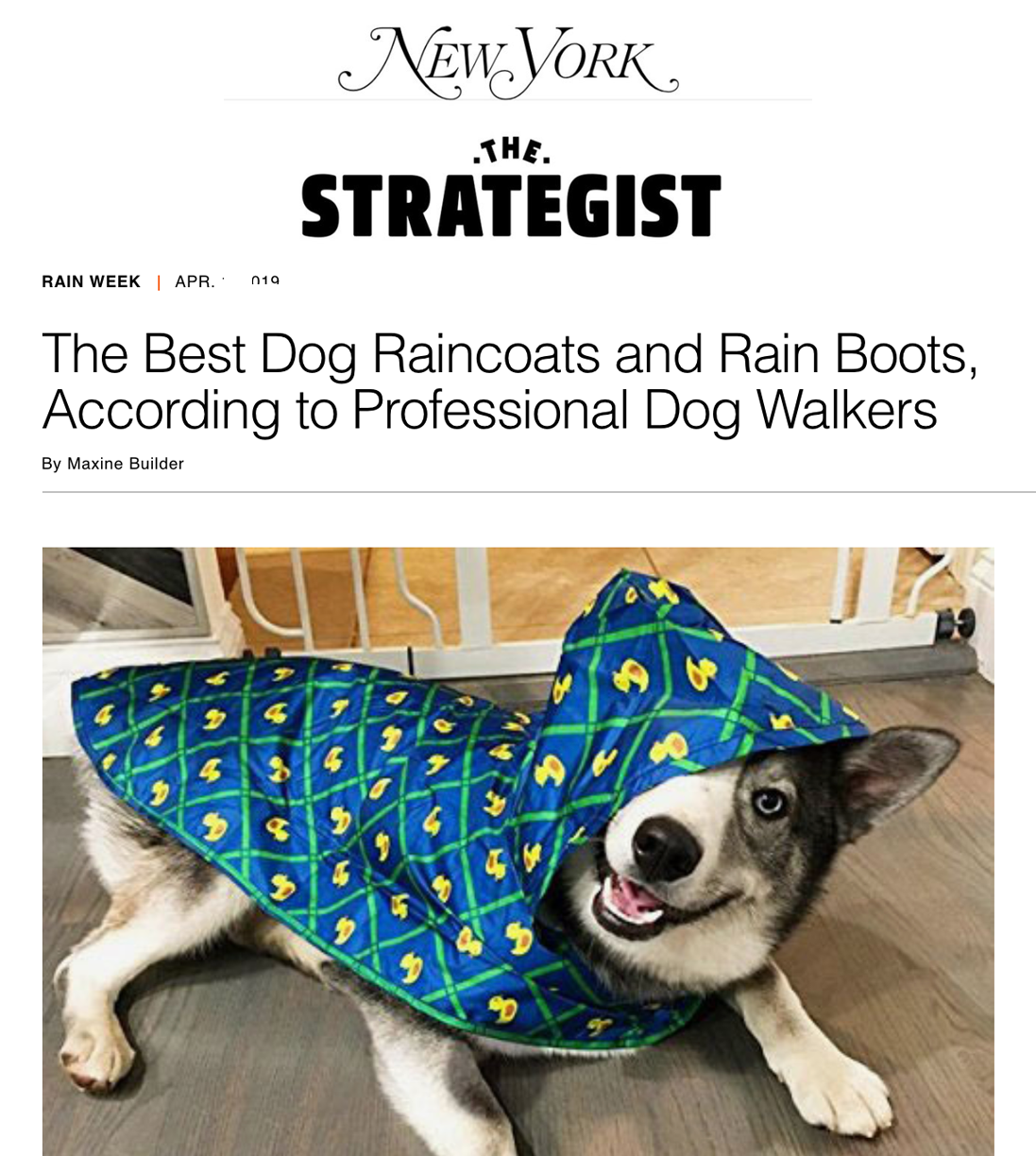 strategist.png
