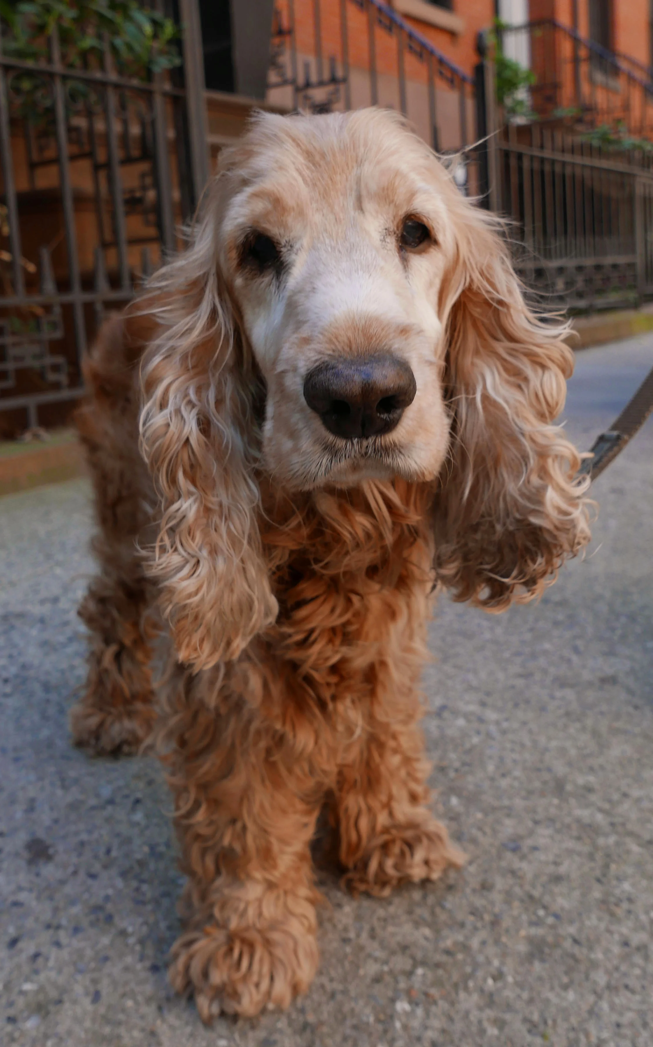 nigel_L1010167+2.jpg
