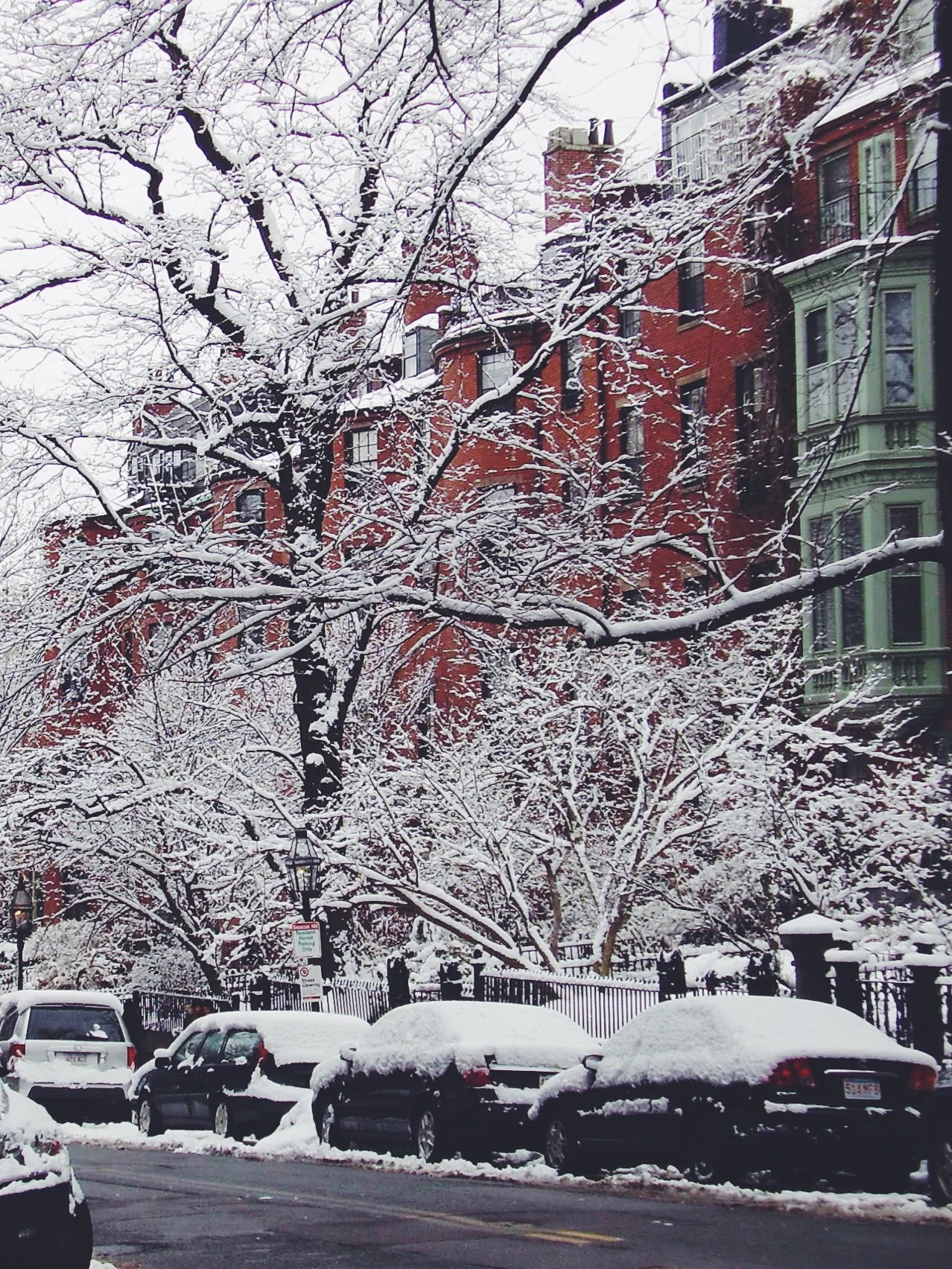 Boston.jpg