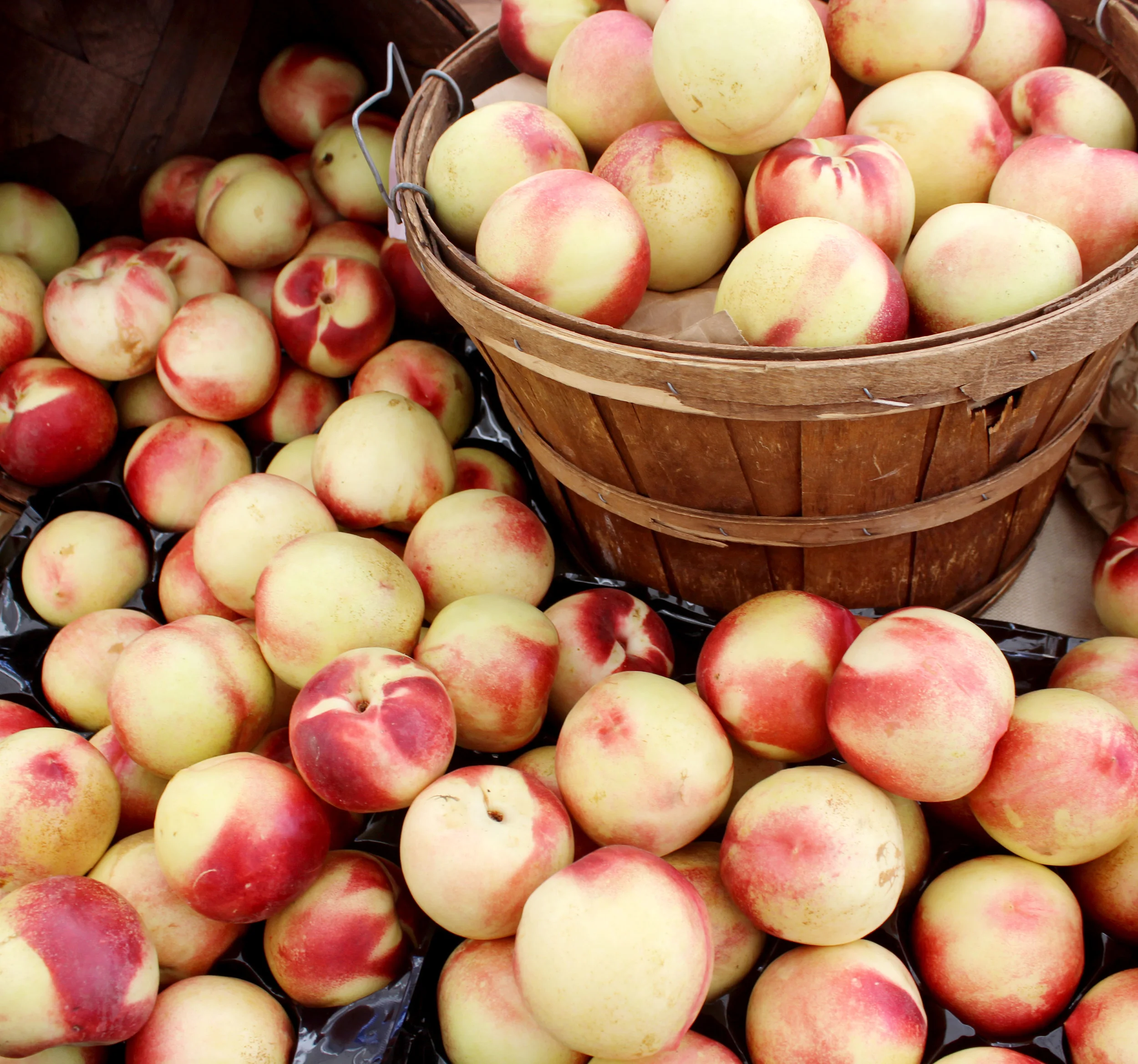 peaches.jpg
