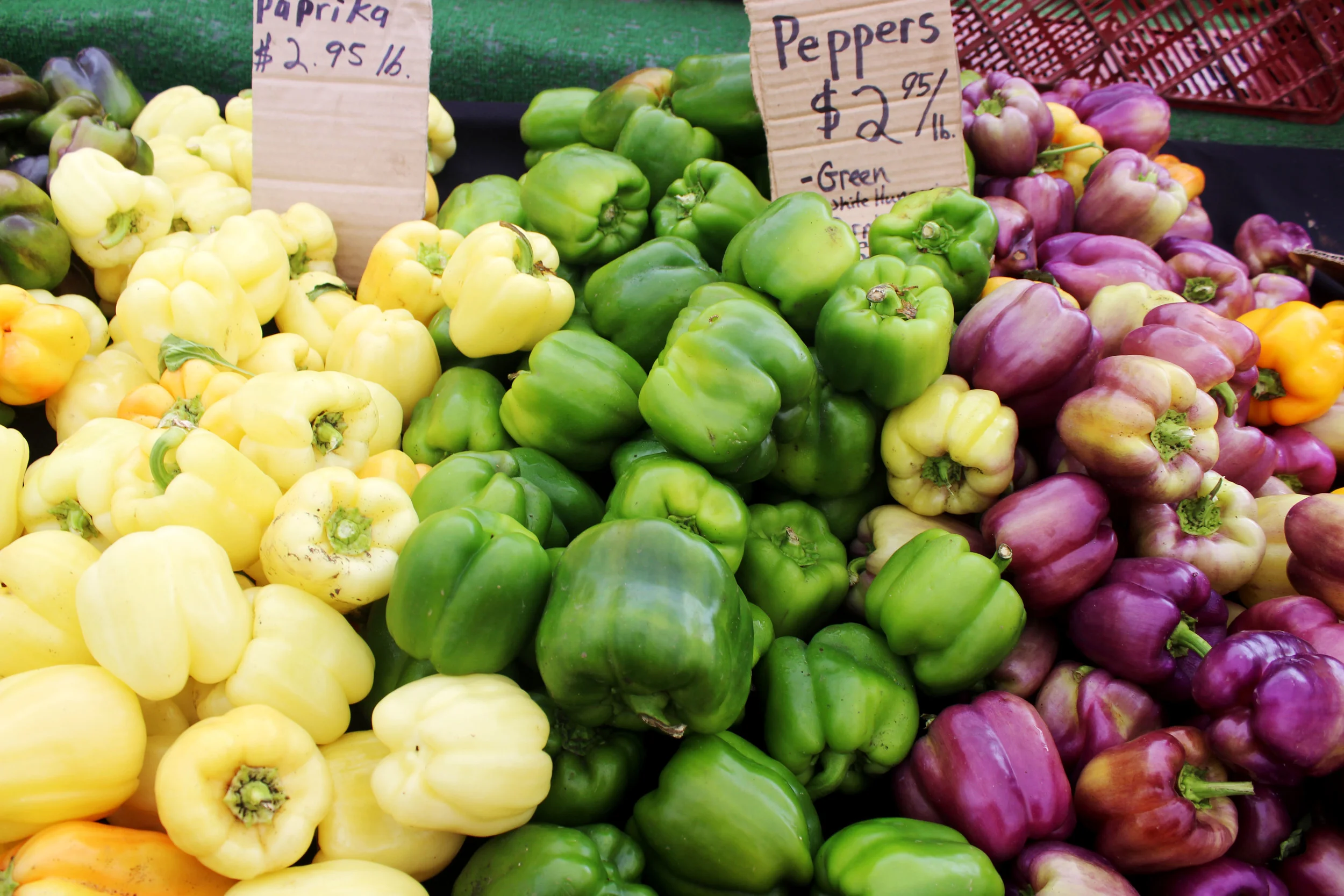 peppers 9.21.14.jpg