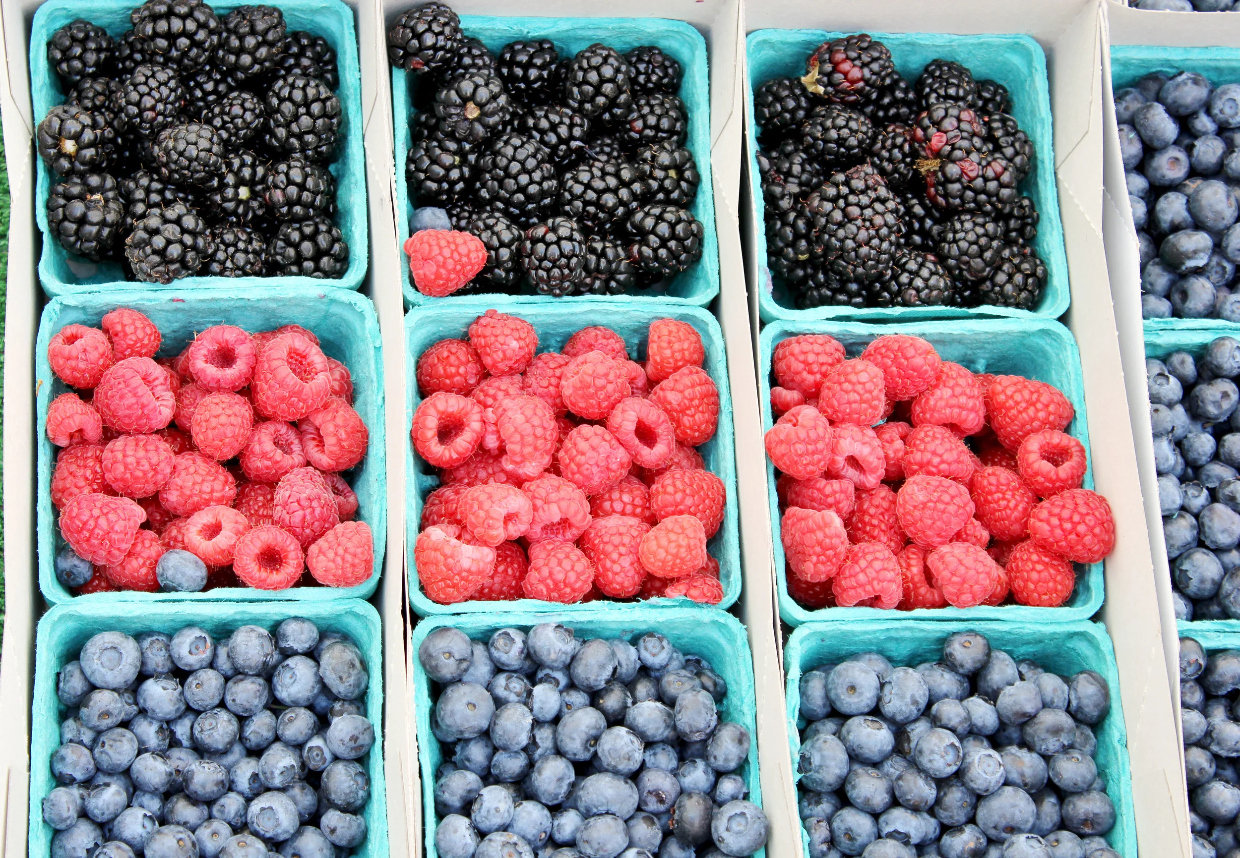 berries.jpg