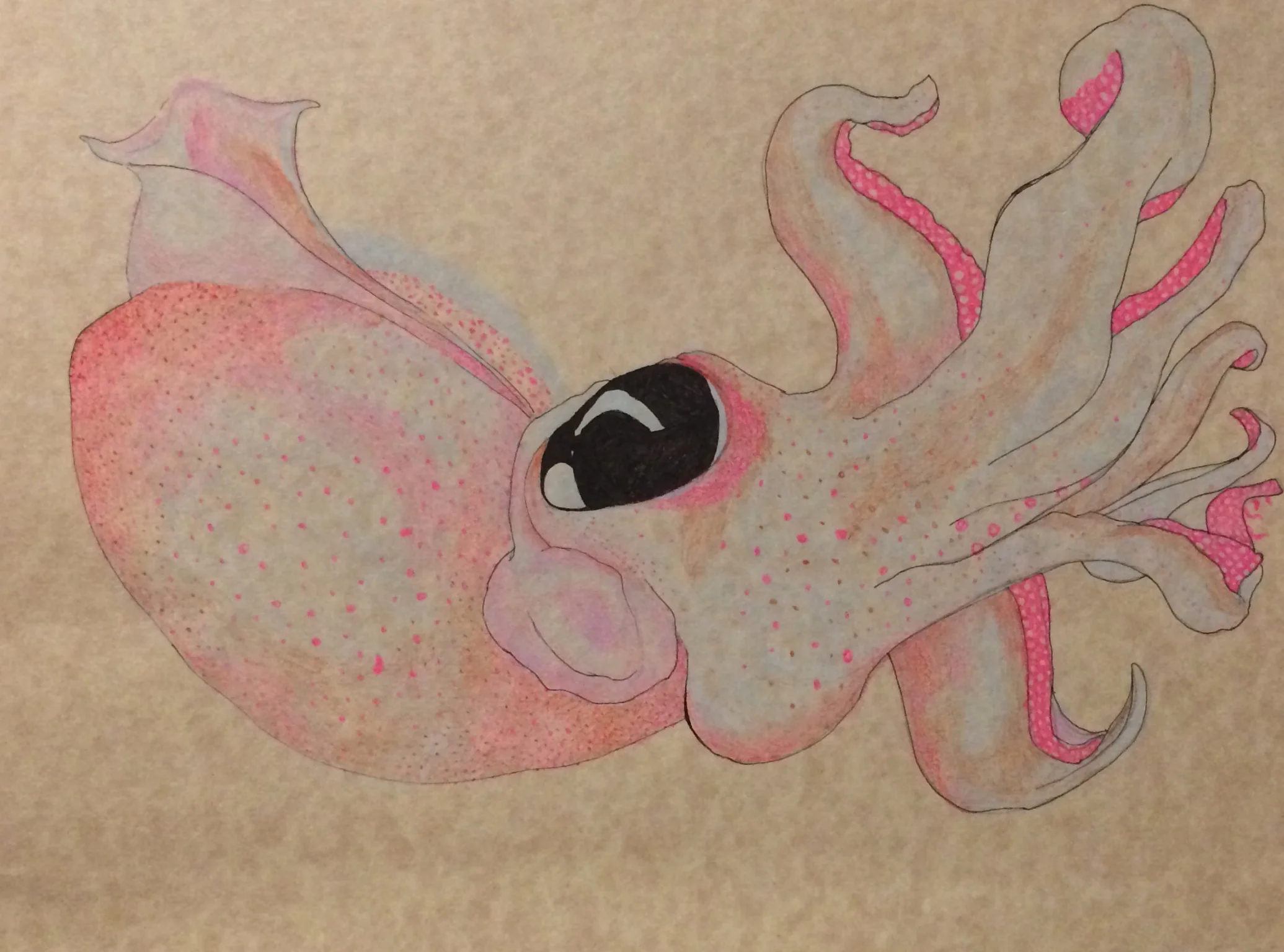 A Drawing A Day, Day 31 - 9.19.14