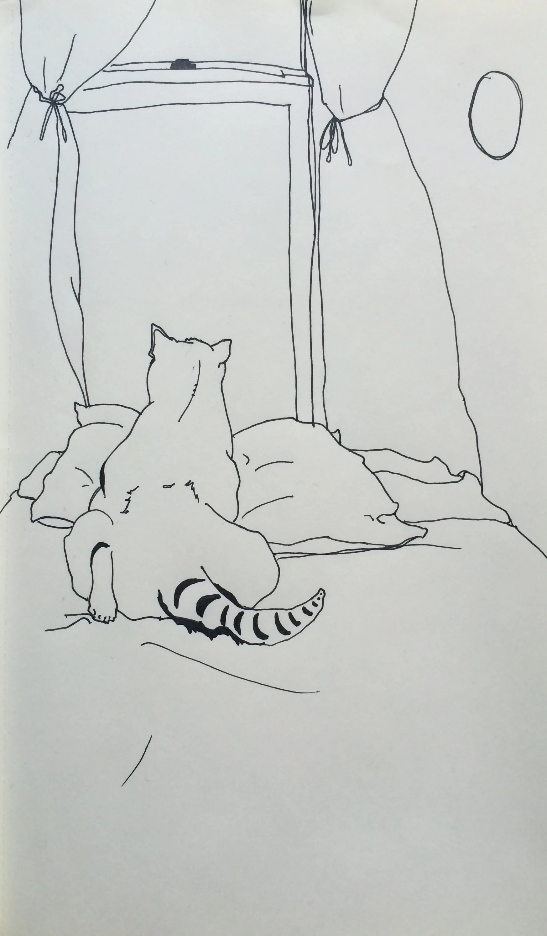 A Drawing A Day, Day 149 - 1.22.16
