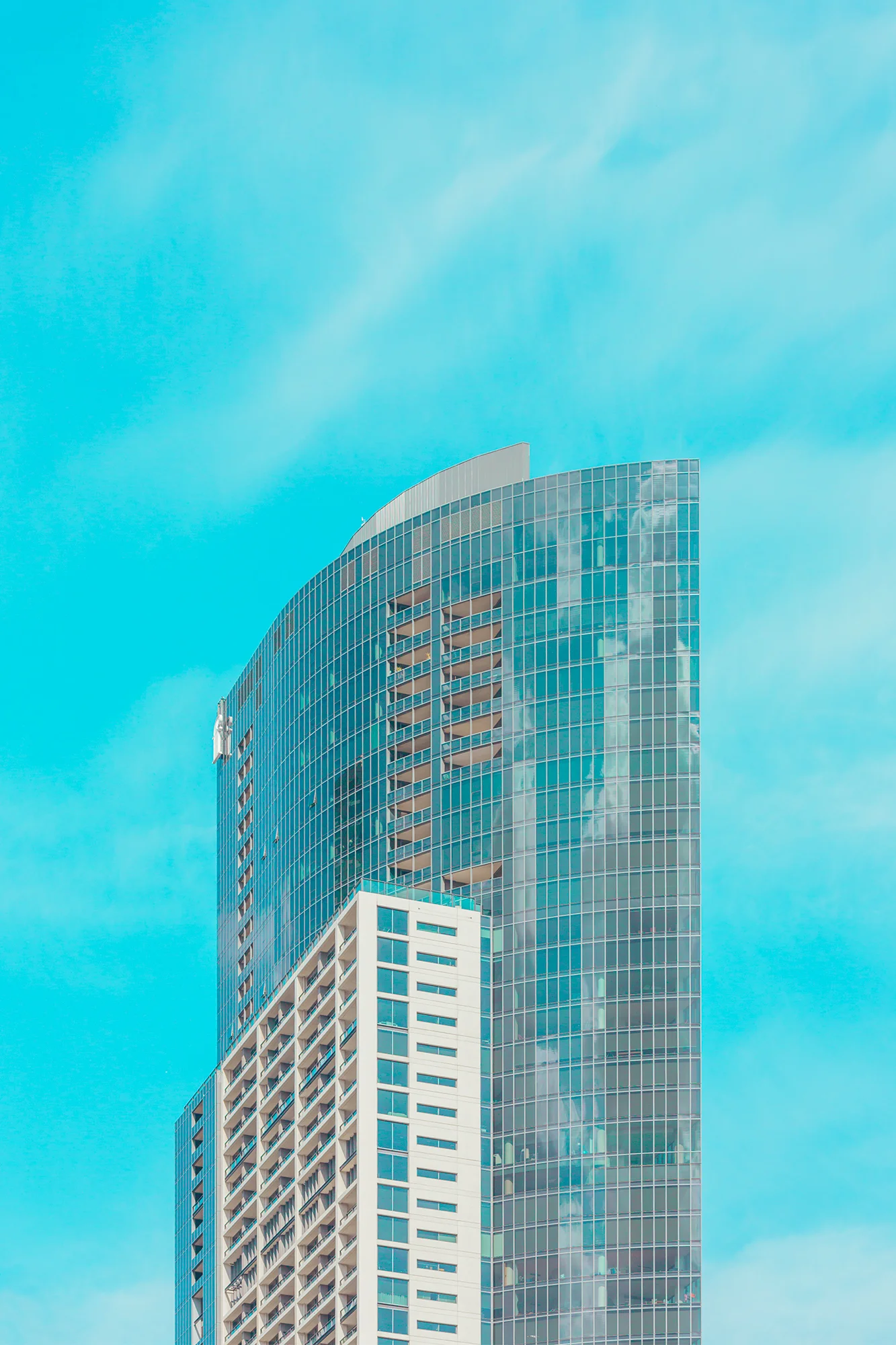 standing-tall.jpg