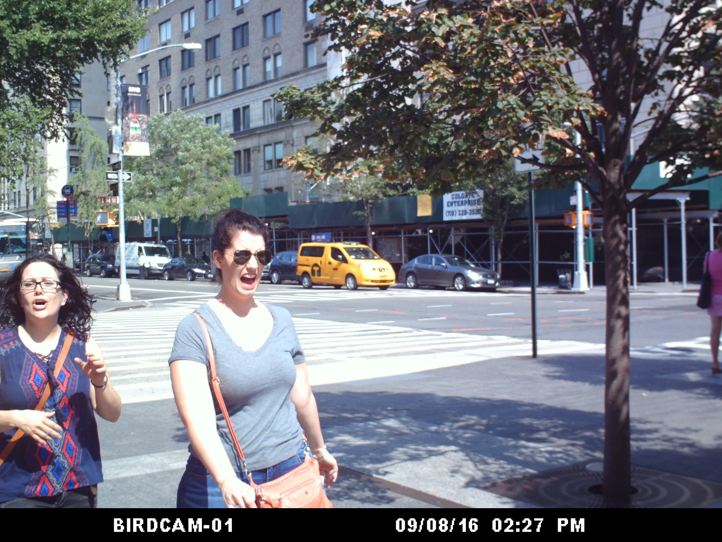 BIRDCAM00010.JPG
