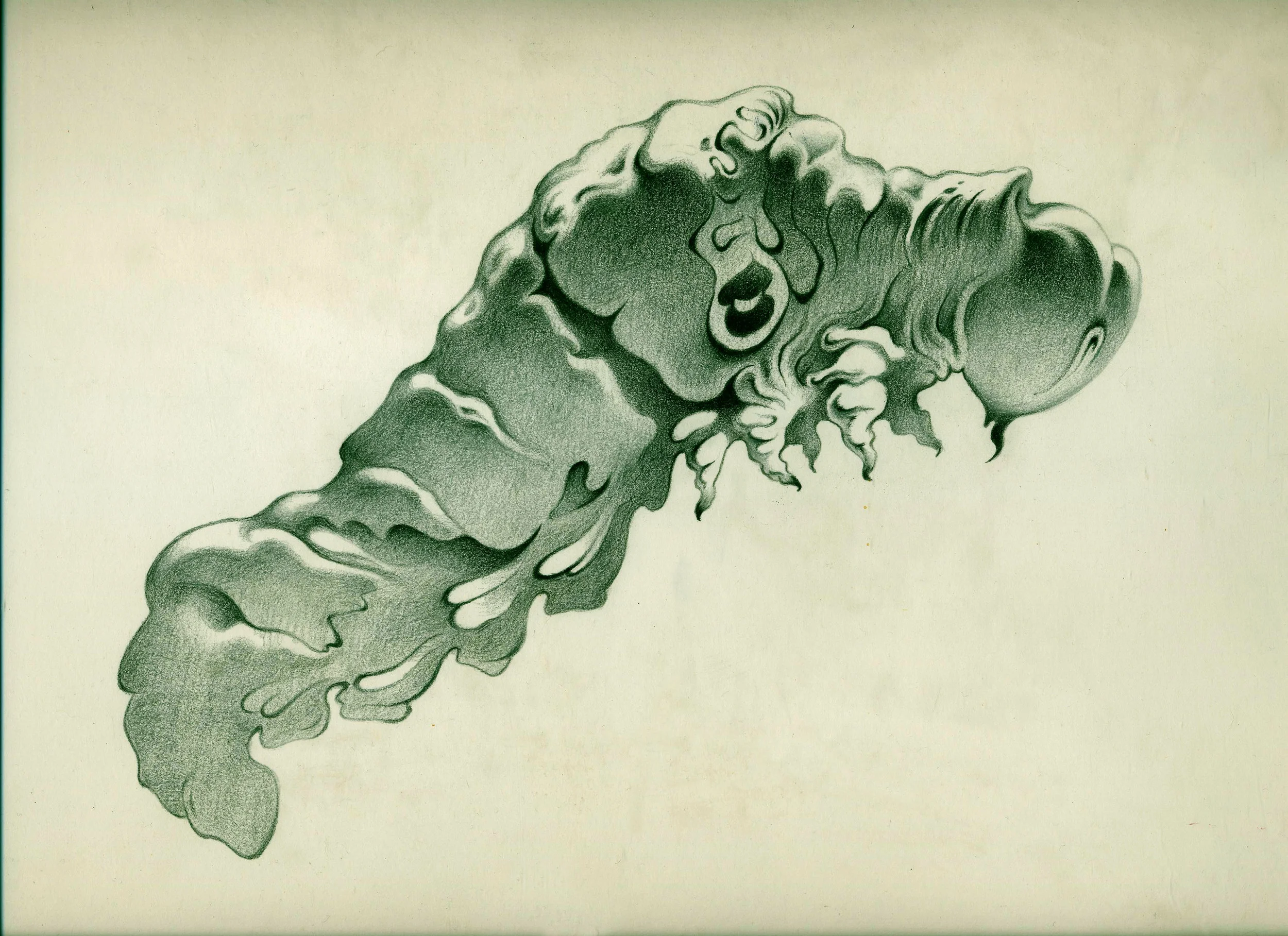 Caterpillar (pencil on paper) 8" X 12"