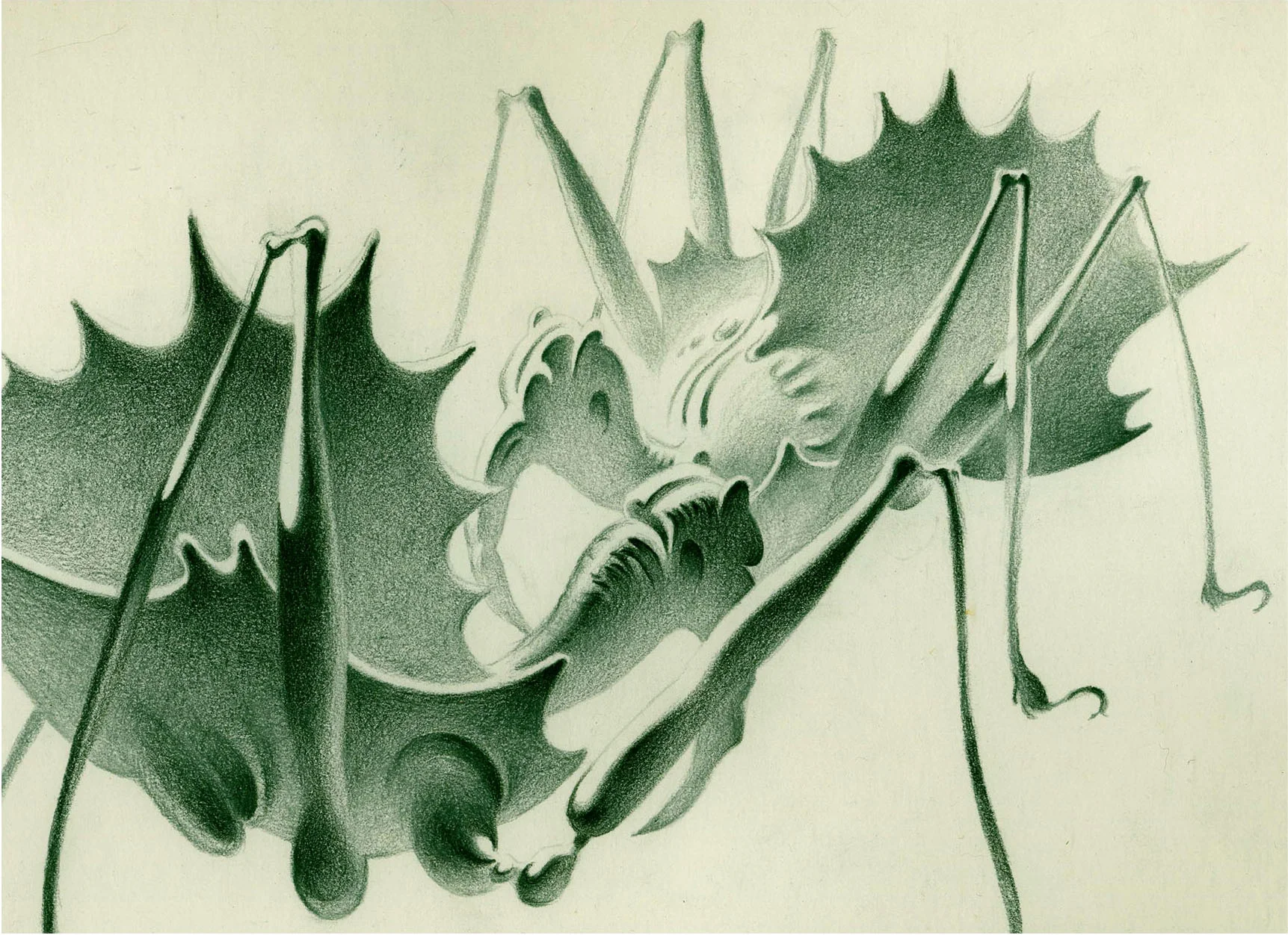 Weevils (pencil on paper) 8" X 12"