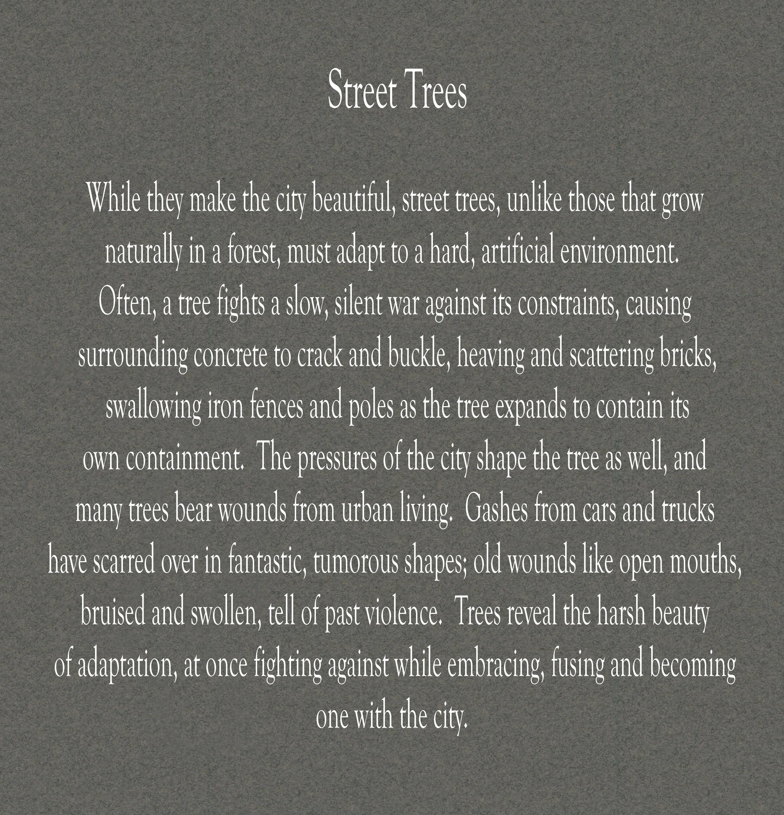 Street Trees w Text on Grey.jpg