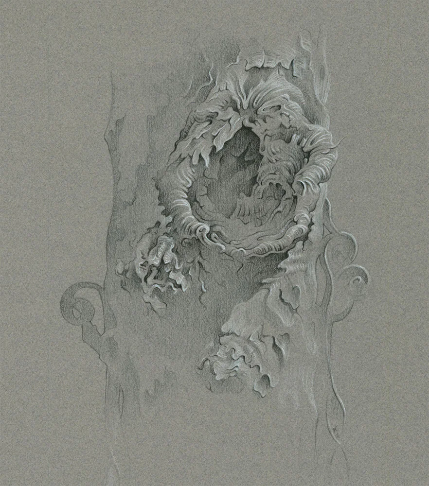 Street Trees - 7th & Addison (1000 ppi).jpg