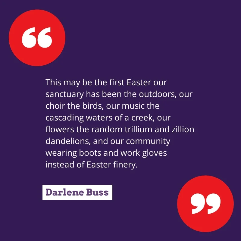 darlene quote.jpg