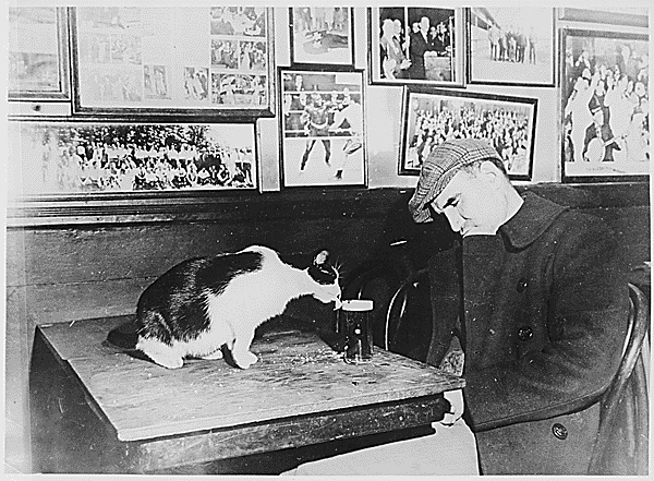 We assume no animals were harmed in this photo. 