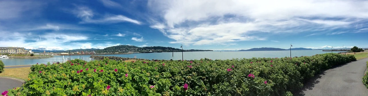 Bellingham Bay