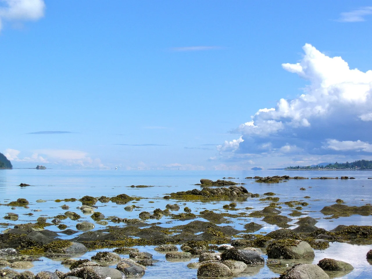Salish Sea