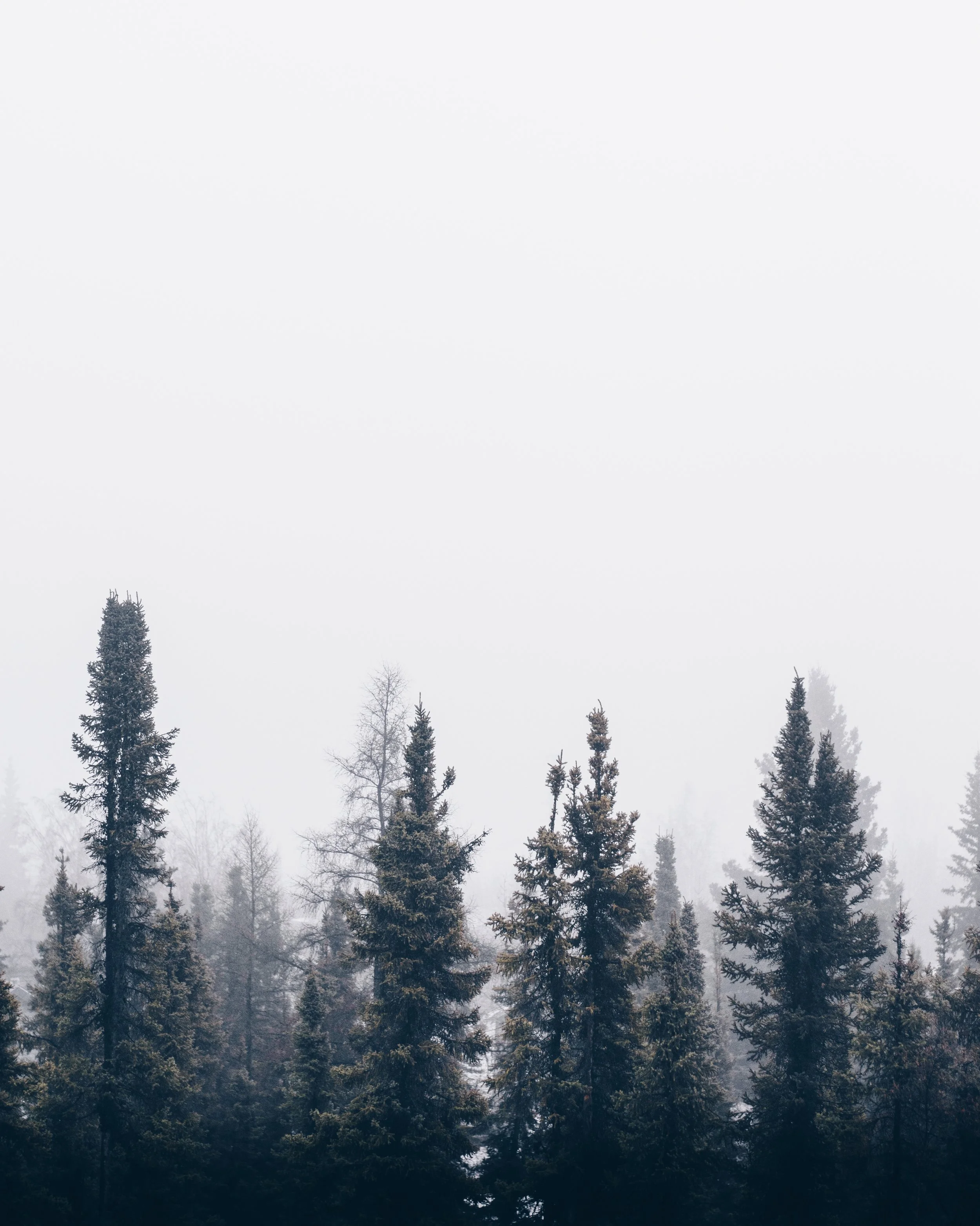ian-keefe-257224-unsplash.jpg
