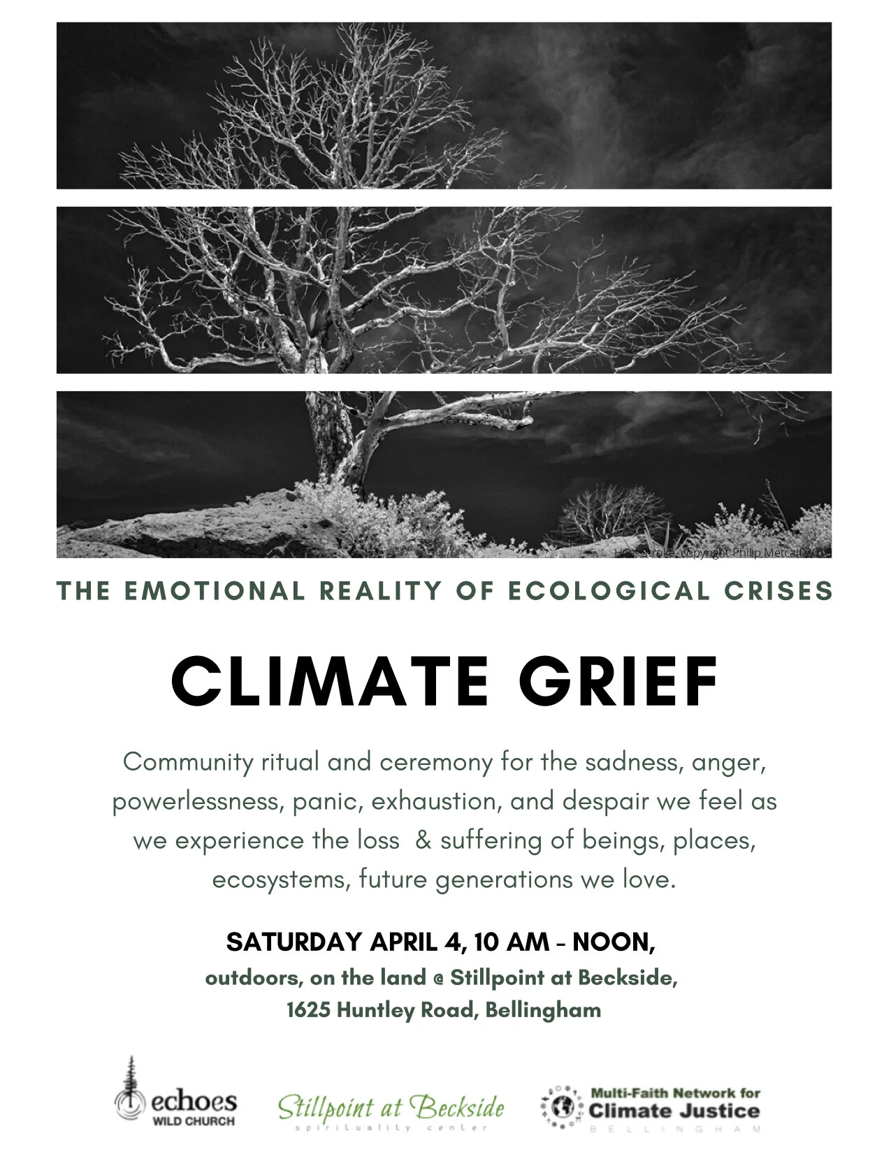 Wild Church Climate Grief -Online