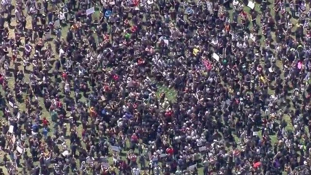 Wild Church (online still)