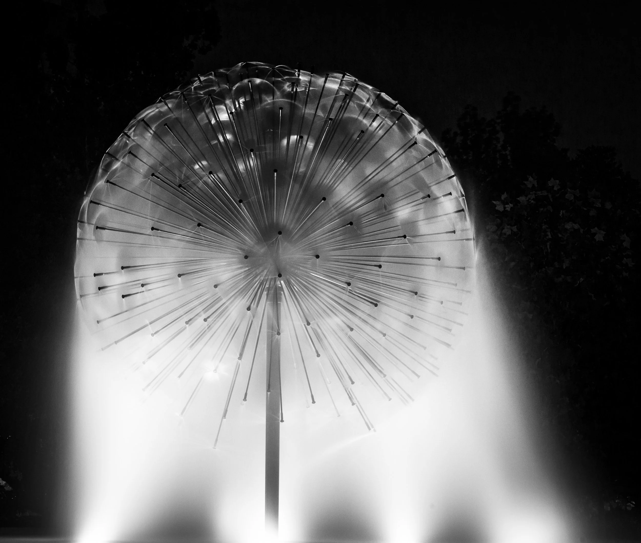 WEB_ART-16.jpg
