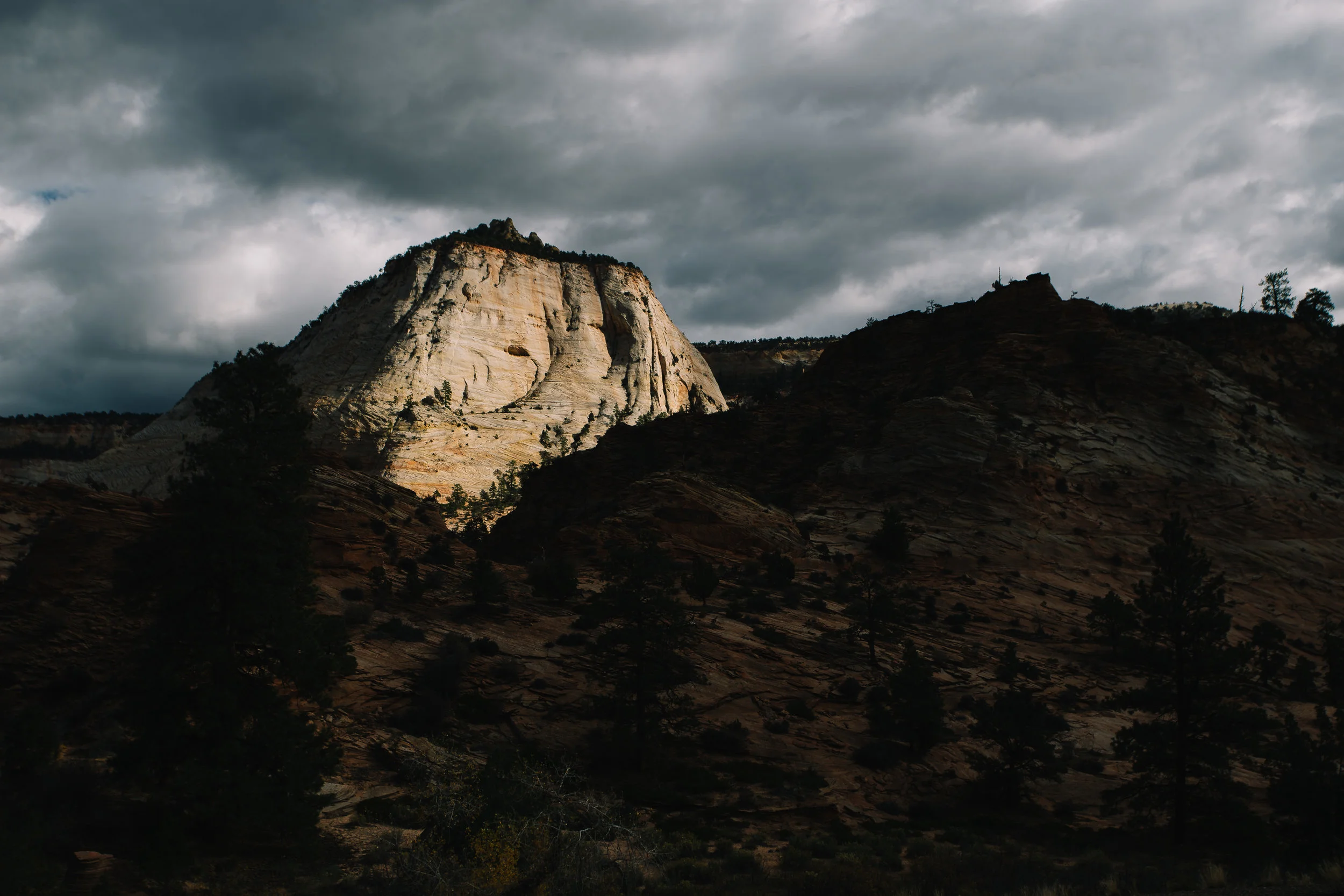zion - VirtuallyHereStudios.com-100.jpg
