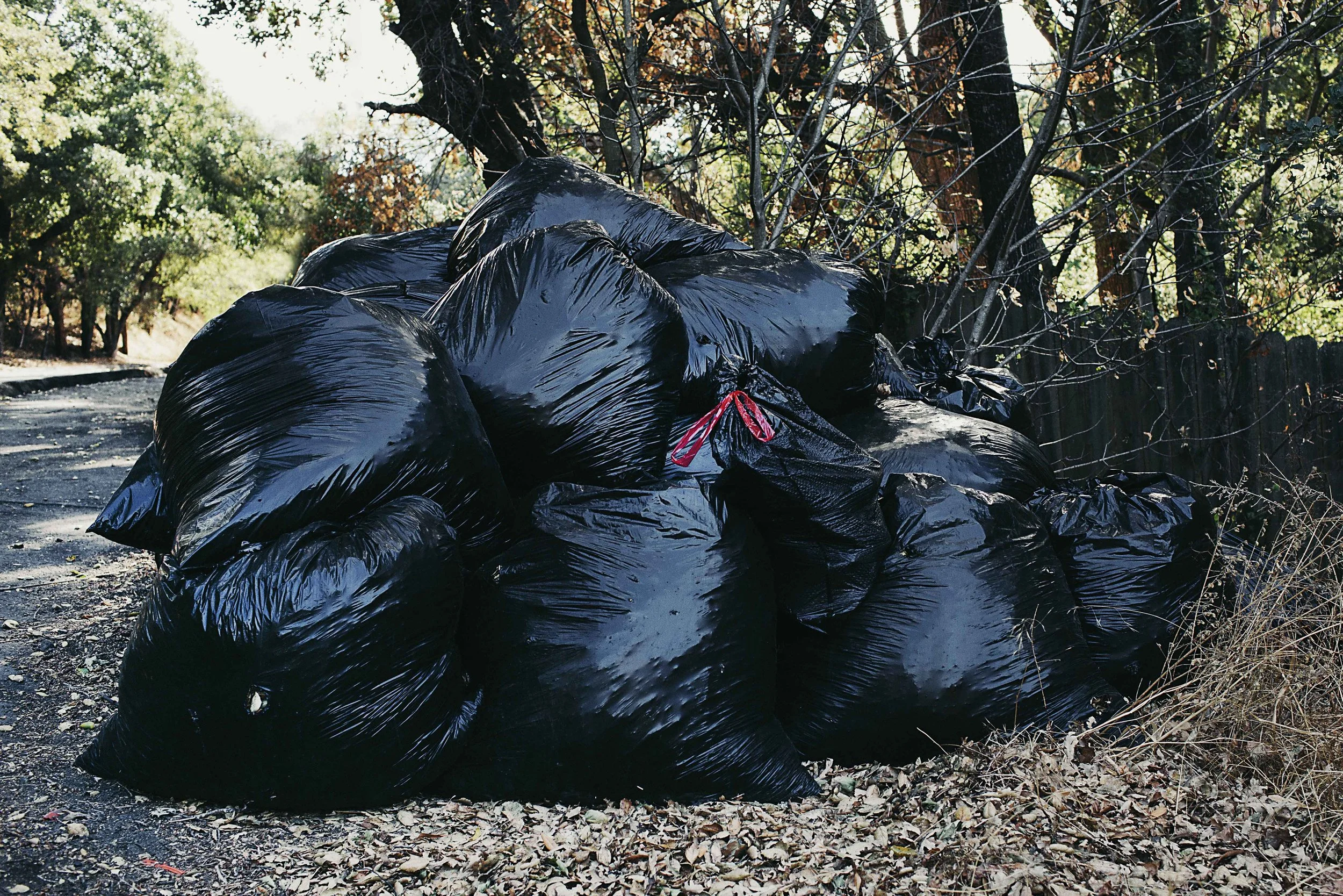 The Invisible Bag (After Robert Bly)