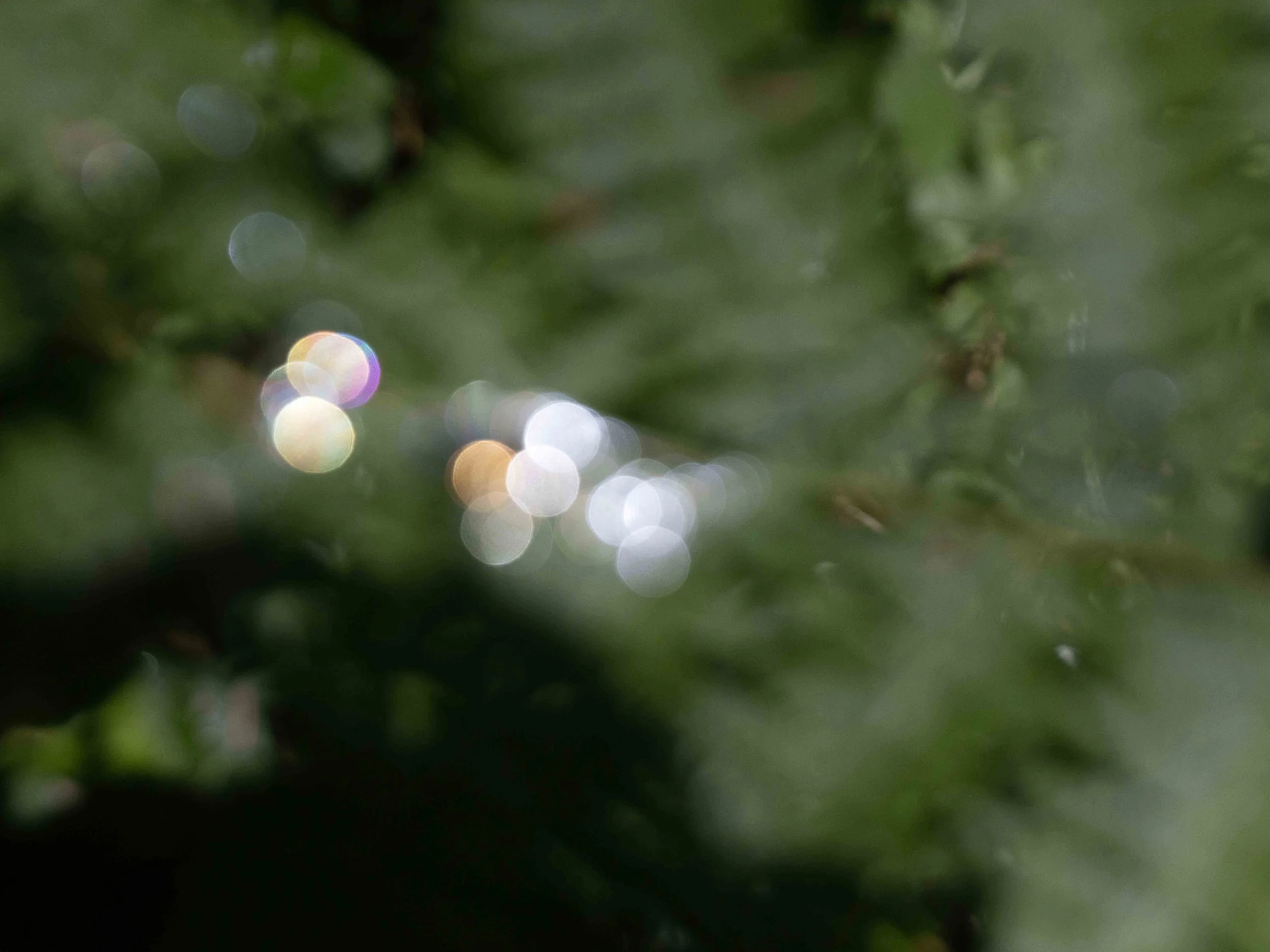 Iridescent Slug Trail