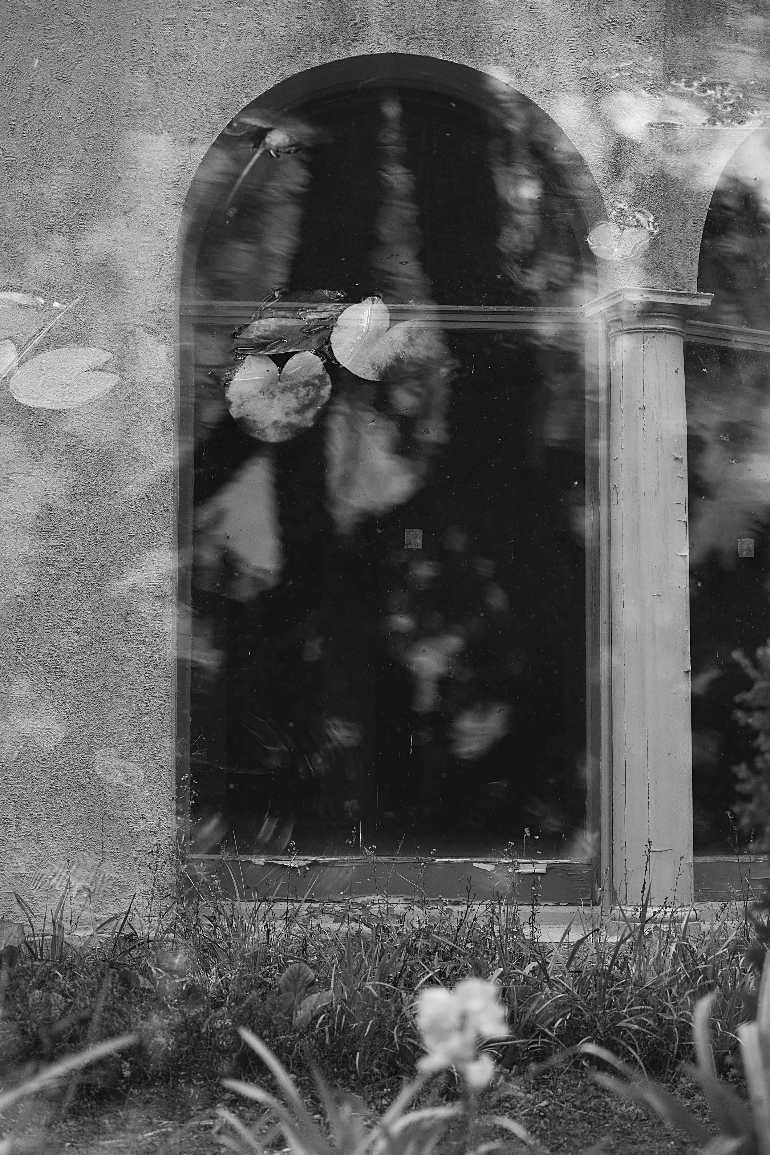 Still Pond and Window