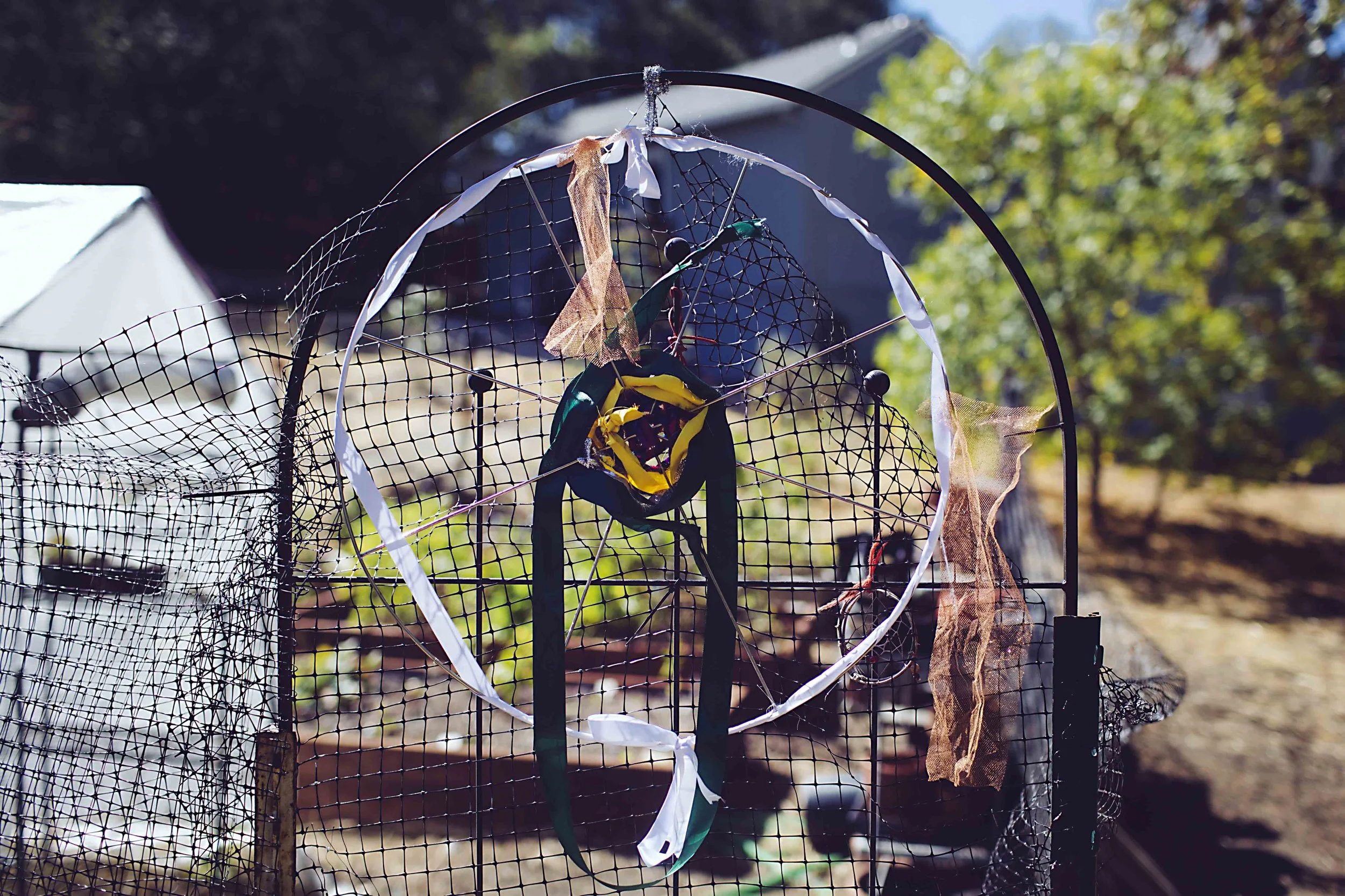 Garden Mandala