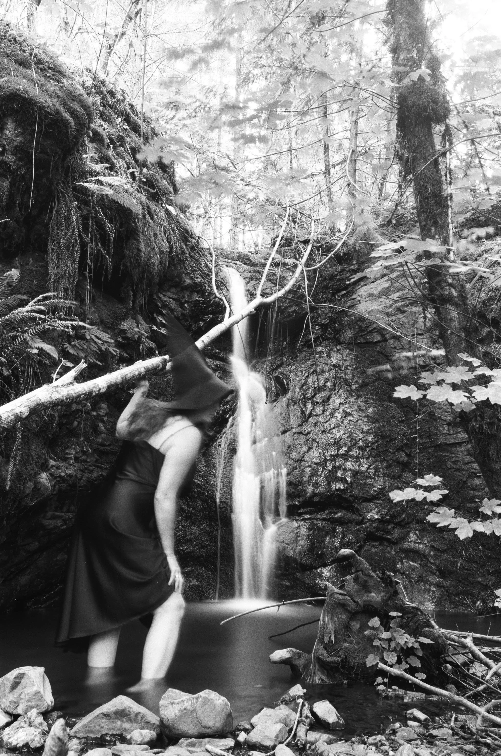 Witch In The Woods