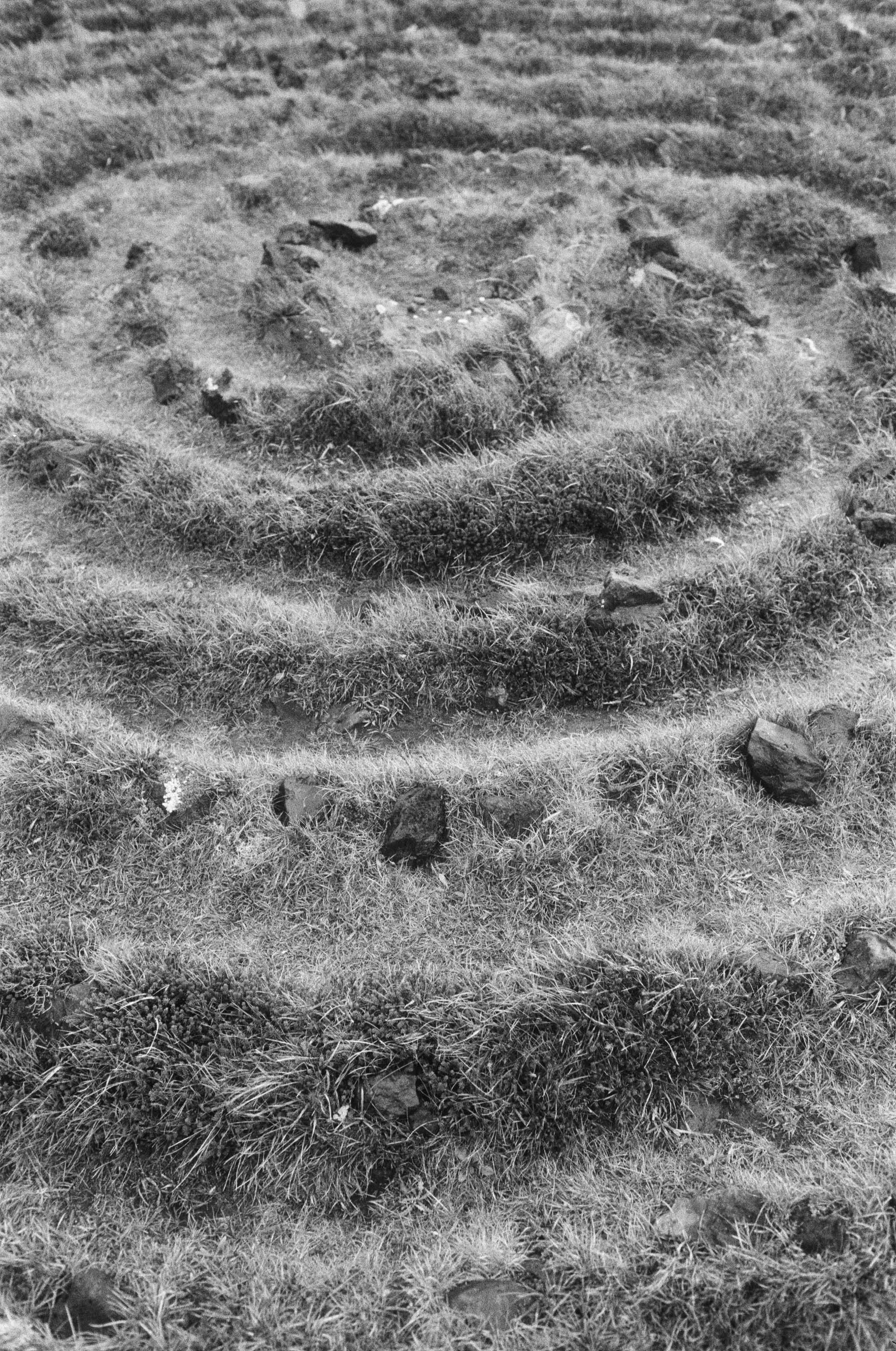Ancient Vortex