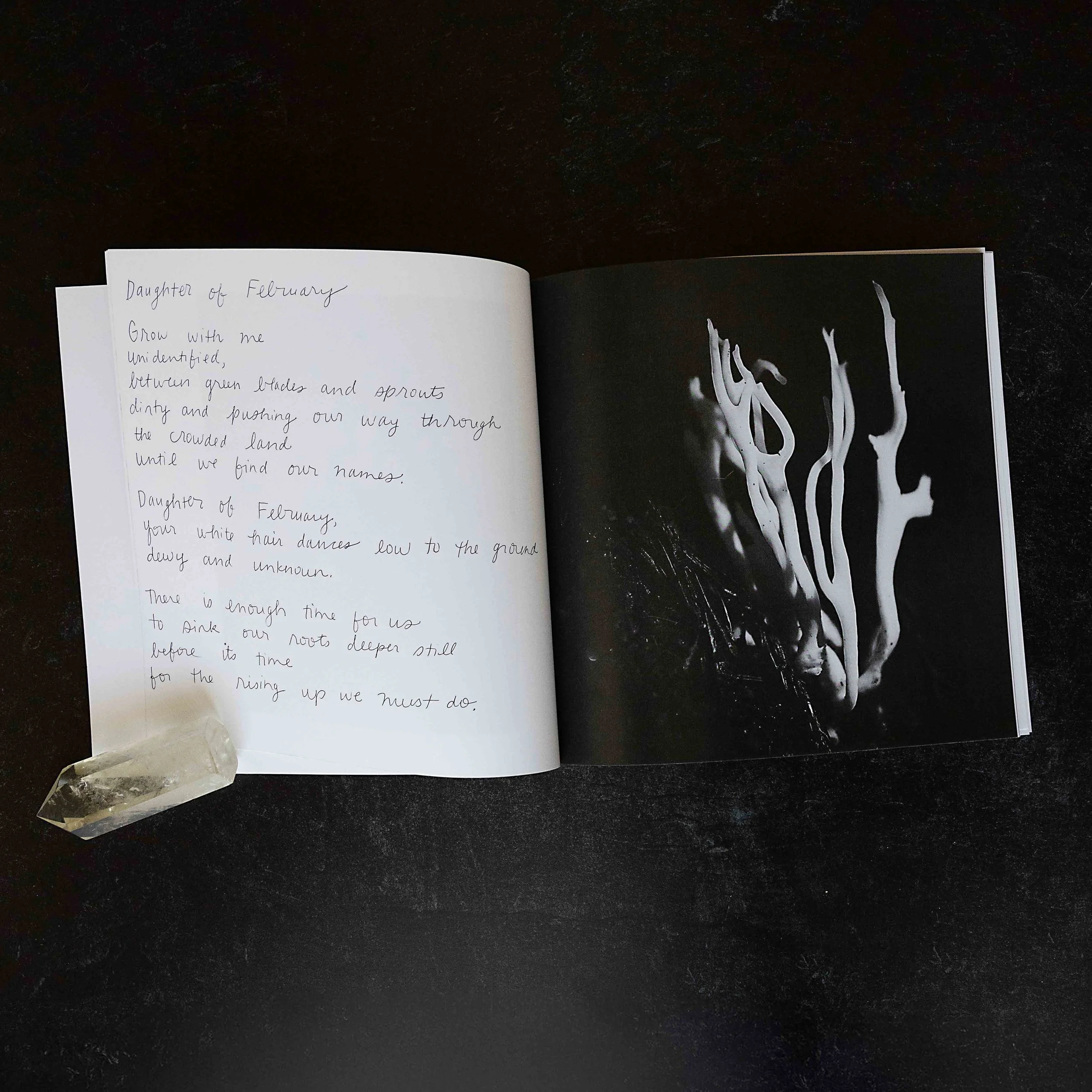 My Body Is All The Hands 5 copy.jpg