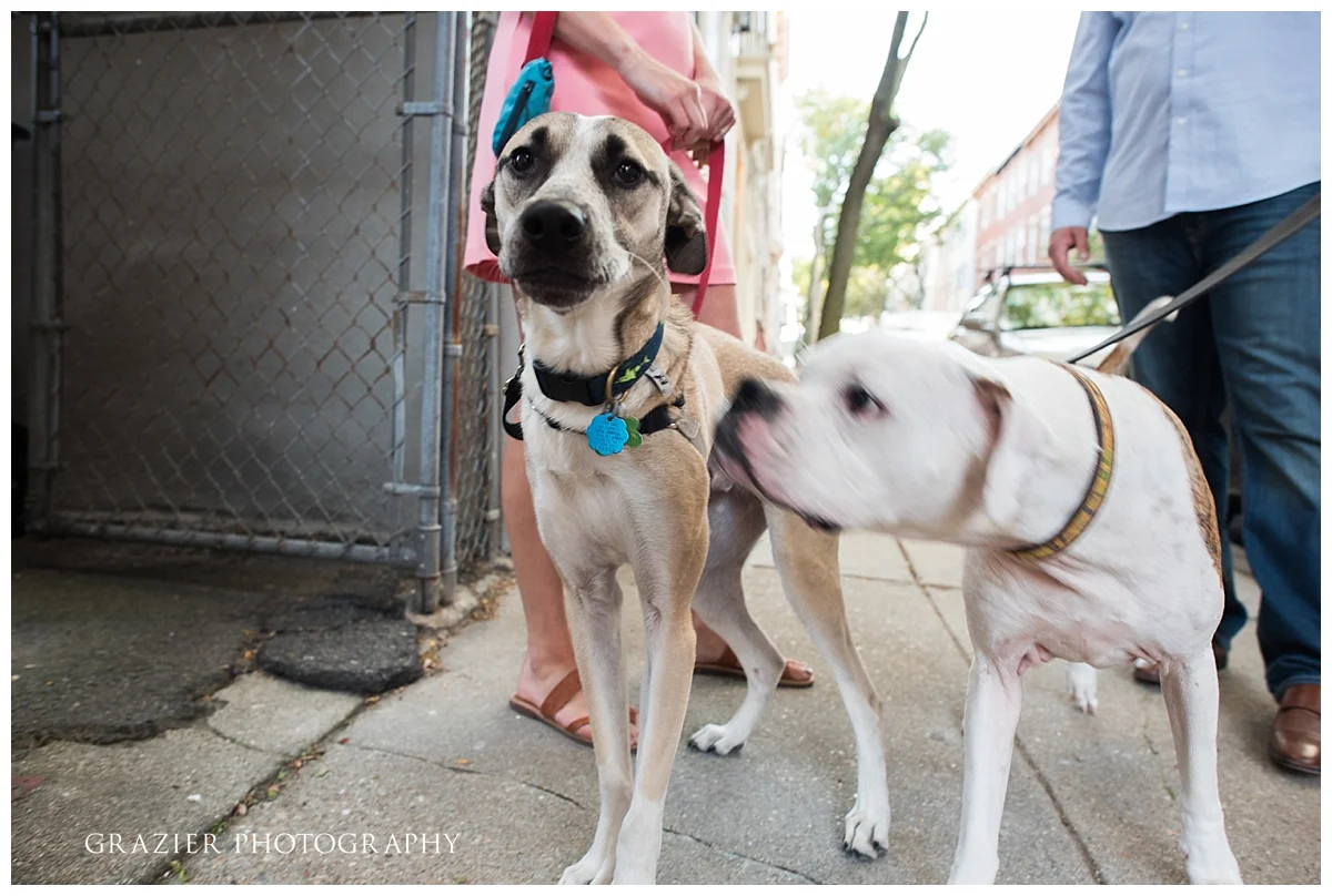 Boston Wedding Photography Grazier ClaTom 2017-19_WEB.jpg