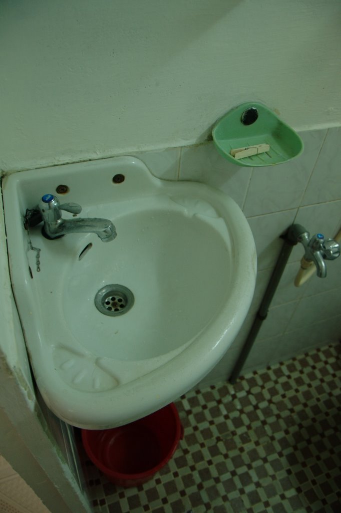 An adorable basin
