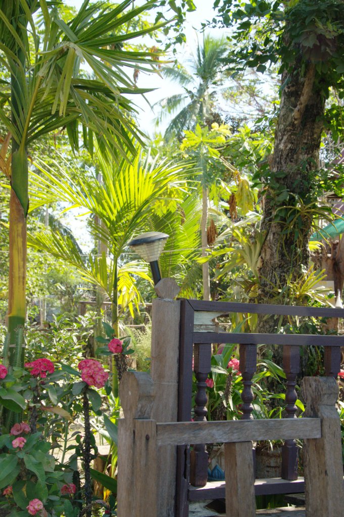 Tropical garden setting.