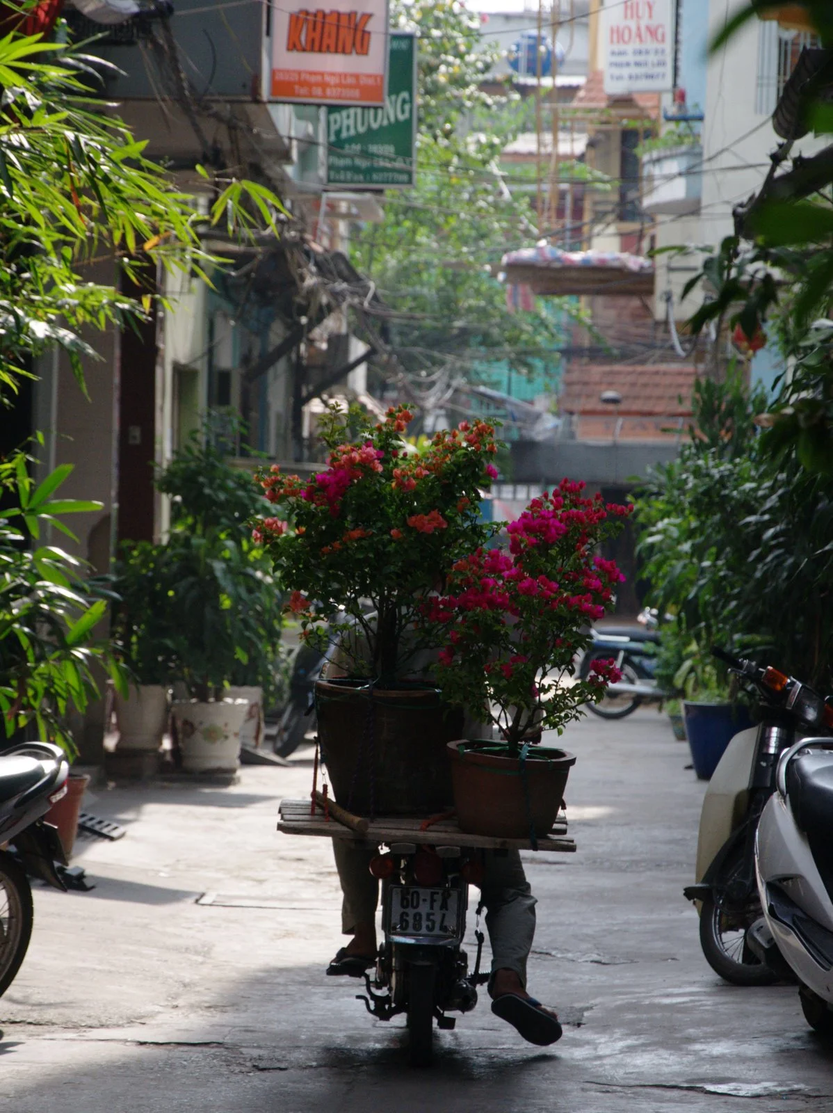 Our guesthouse's little alley.
