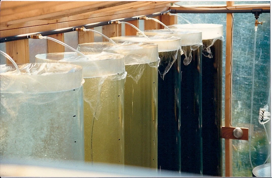Flat Bottom Algae Culture Tanks