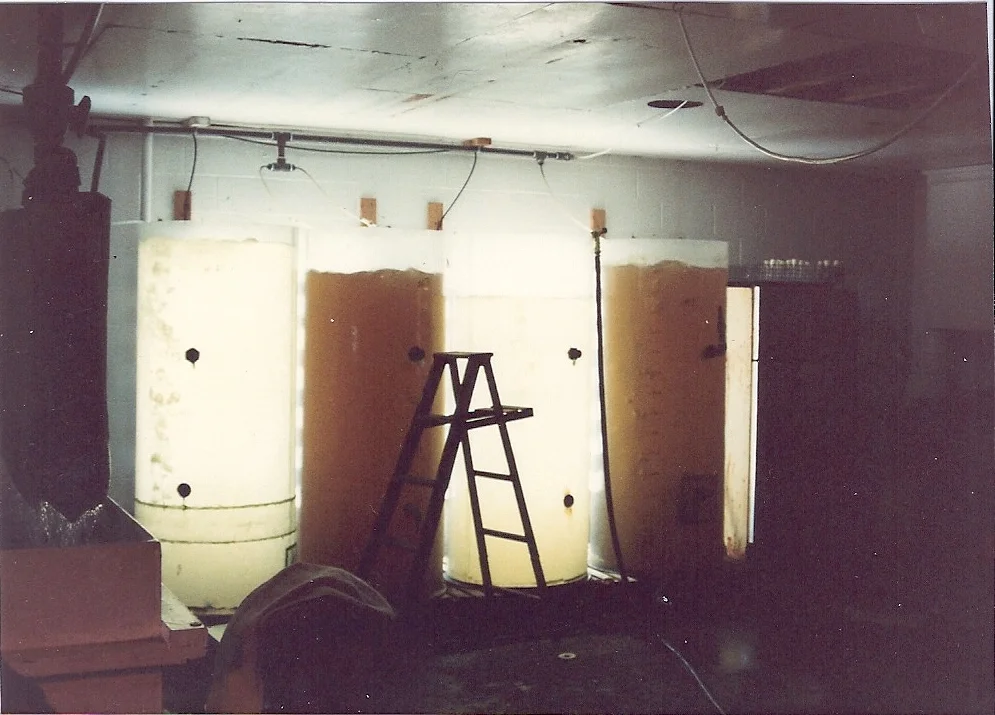 Backlit_tanks.jpg