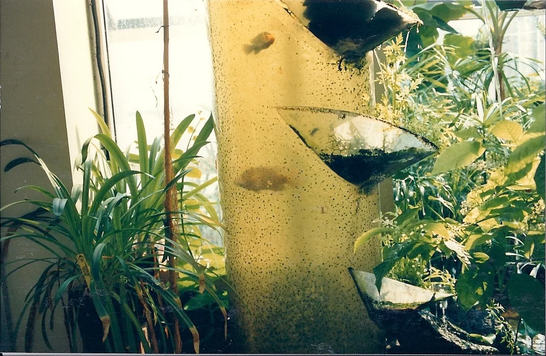 Boston_Aqua_fishtank.jpg