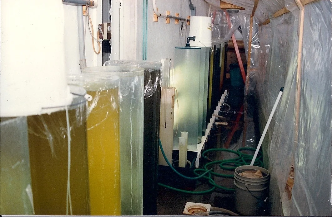 mooks_sea_farm_algaetanks.jpg