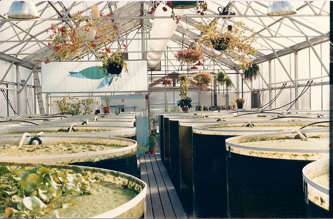 wastewater4.jpg