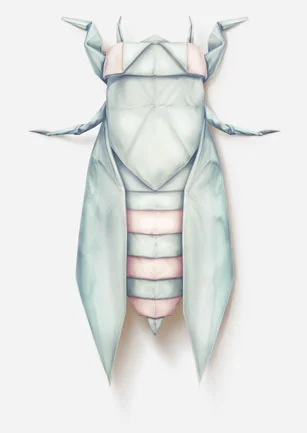 kittozutto_spring.jpg