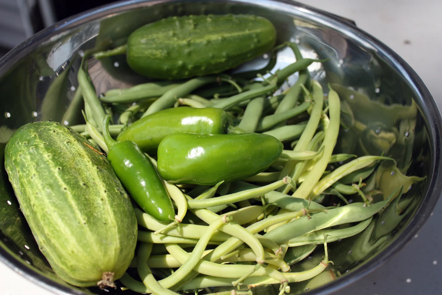 A study in green: cucumbers, beans and jalapenos.